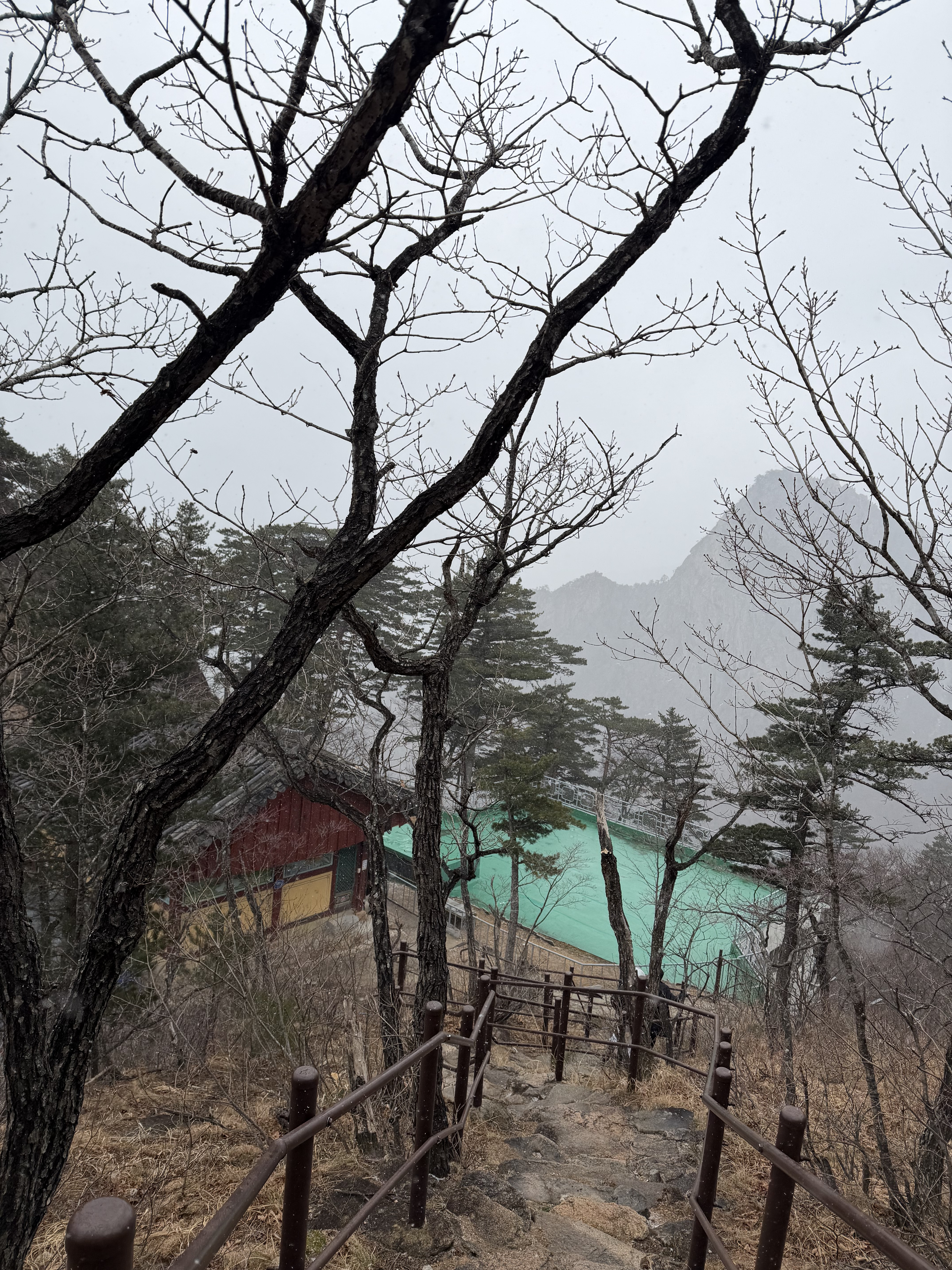 Stone steps through the trees leading to a mountain temple in Seoraksan